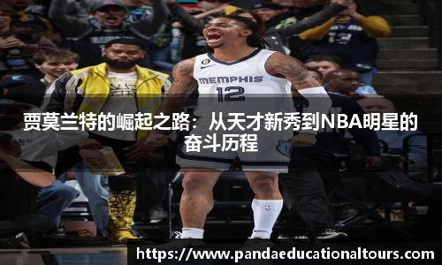 sunbet申搏